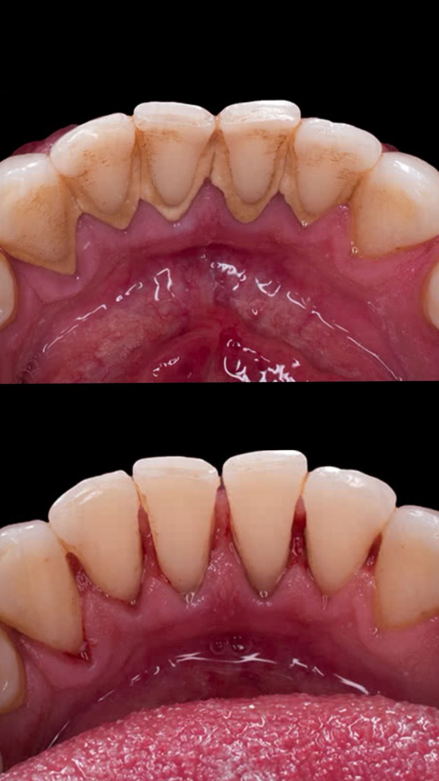 WhatsApp Image 2025-07-26 at 21.34.31 (1)