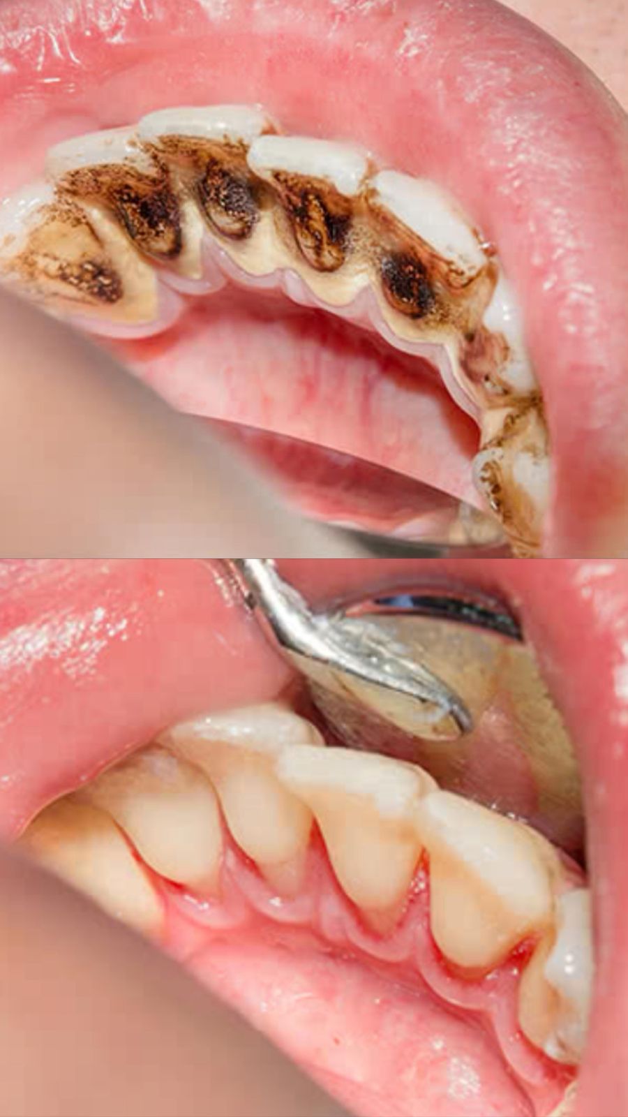 WhatsApp Image 2025-07-26 at 21.34.31