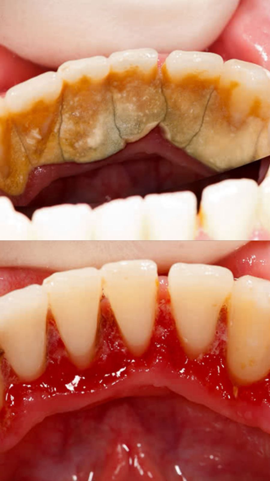 WhatsApp Image 2025-07-26 at 21.34.32